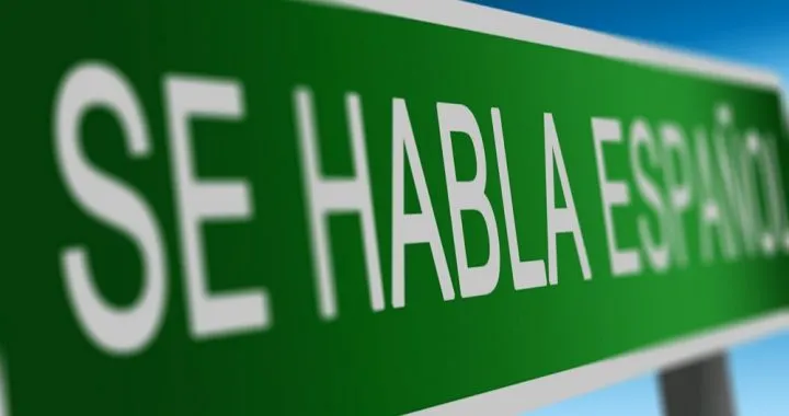 ¿Y qué narices es SE en español?